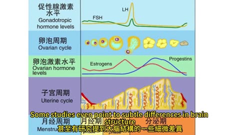 女性四大階段 易觸發憂鬱症