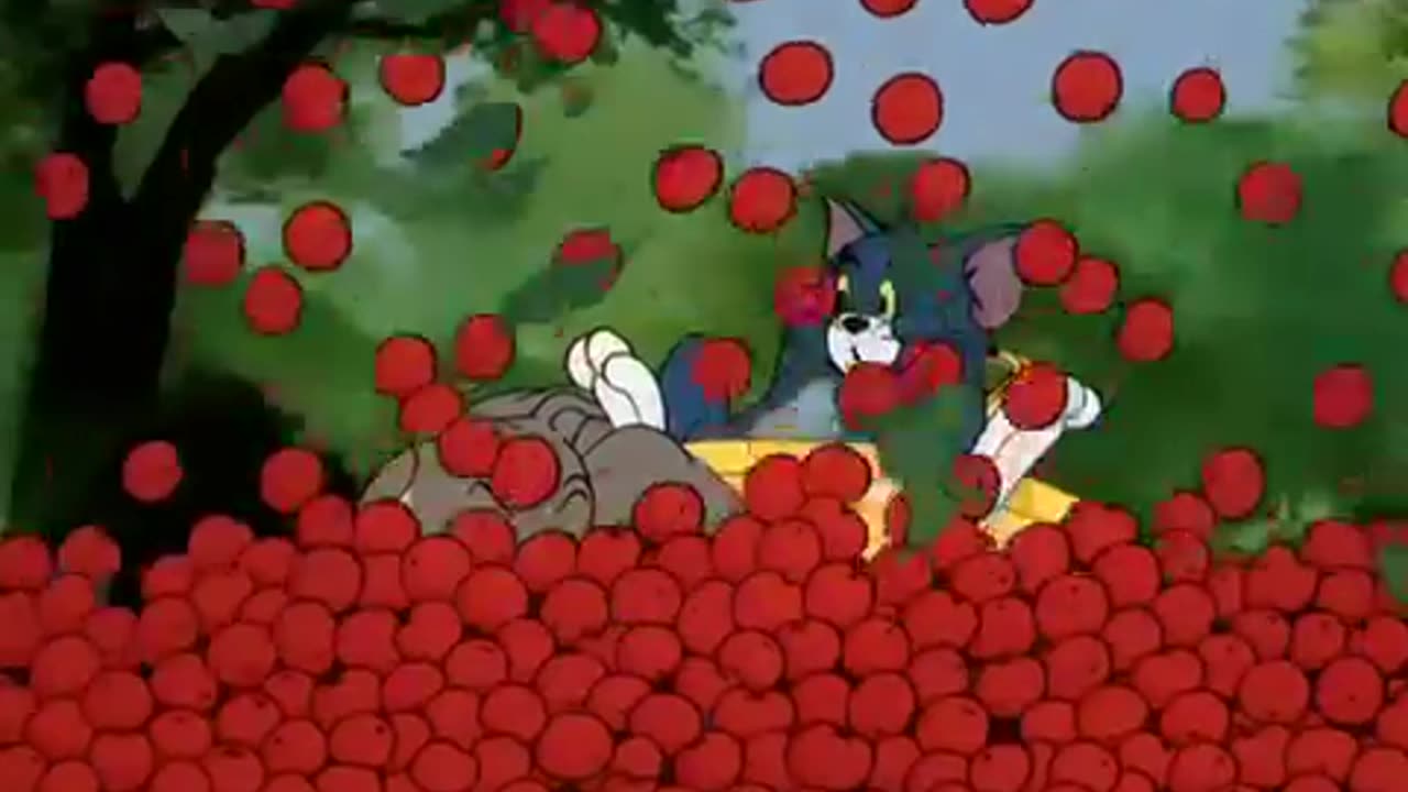 Tom and jarry funny vidieo