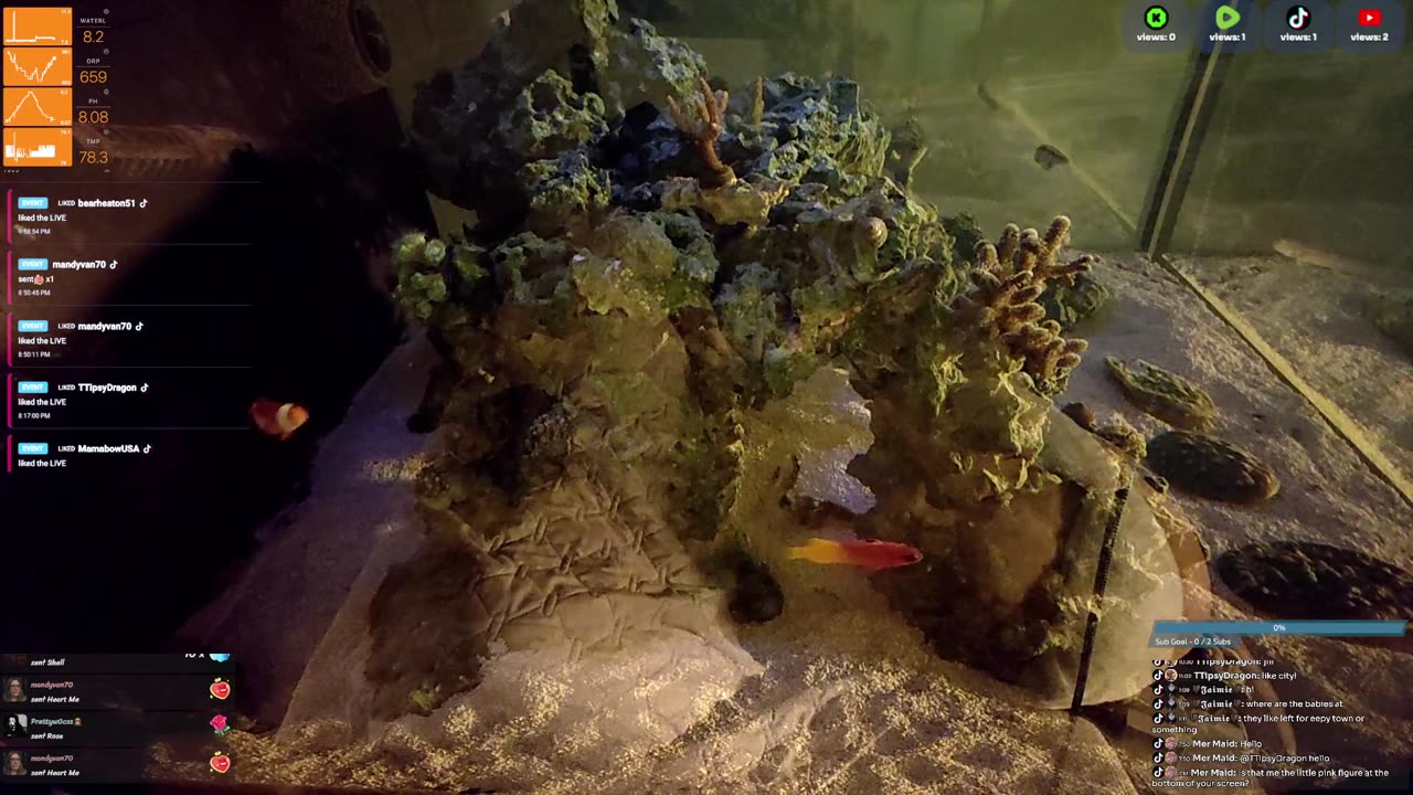 24/7 Real Live Reef Stream