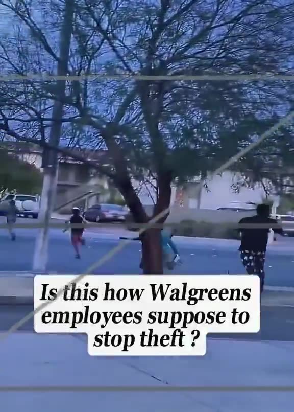 Walgreens employee assits niglets in theft lol