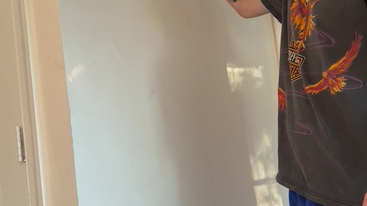 Ep. 656. "Van Gogh" by Harry Potter The Batman