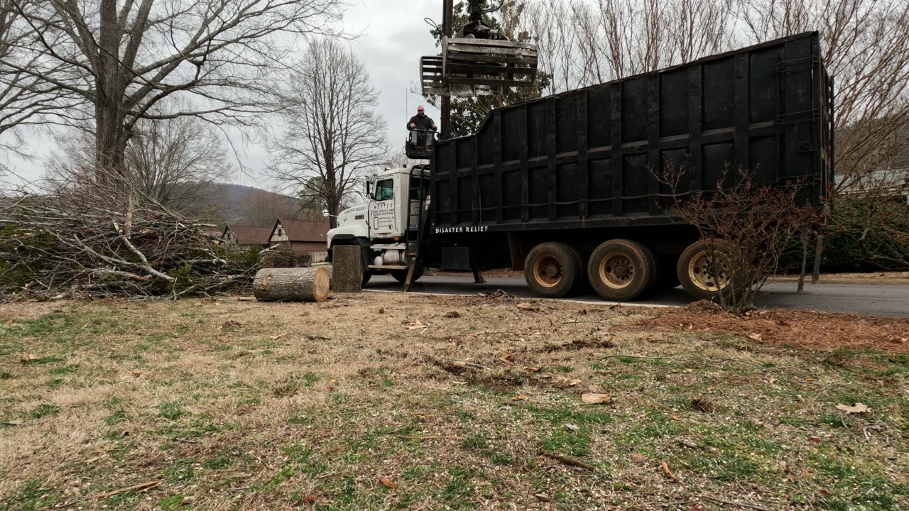 Stump Grinding and loading logs with a Grapple Truck in Huntsville