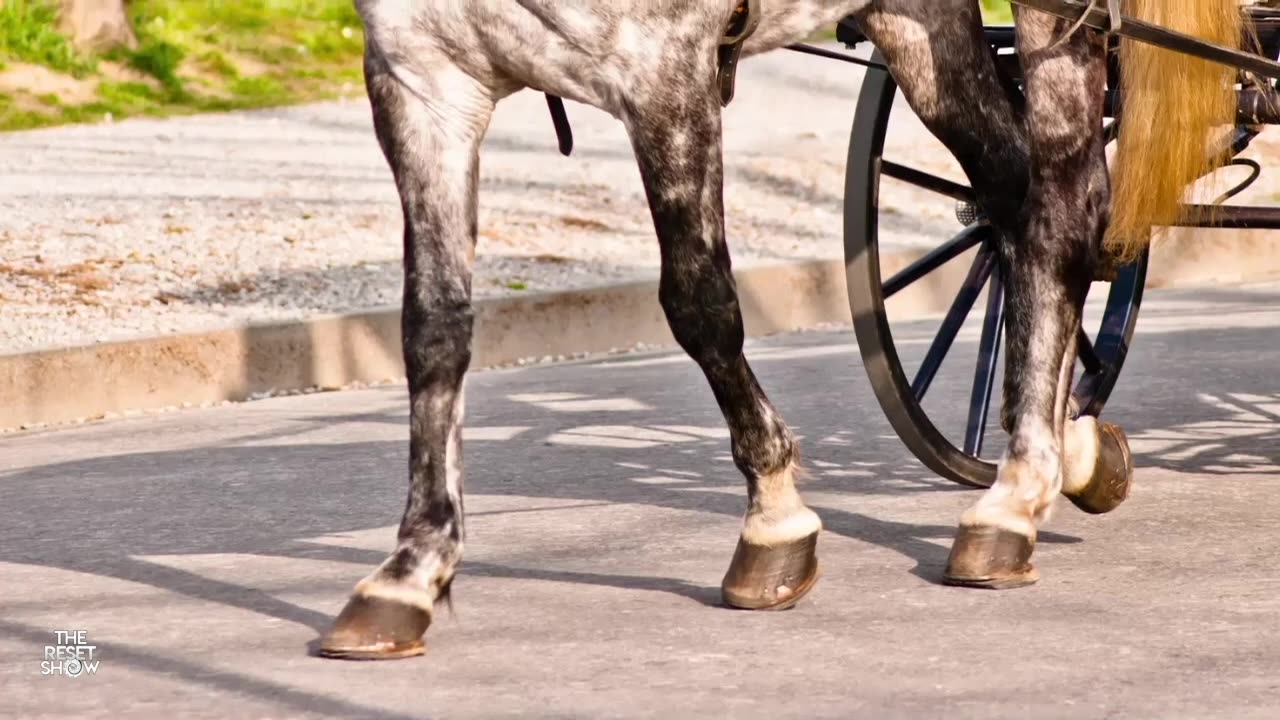 Horse Power | Clip 17 Trailer