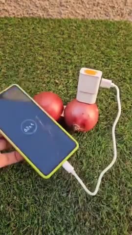 Use the electric earth to charge your cell phone