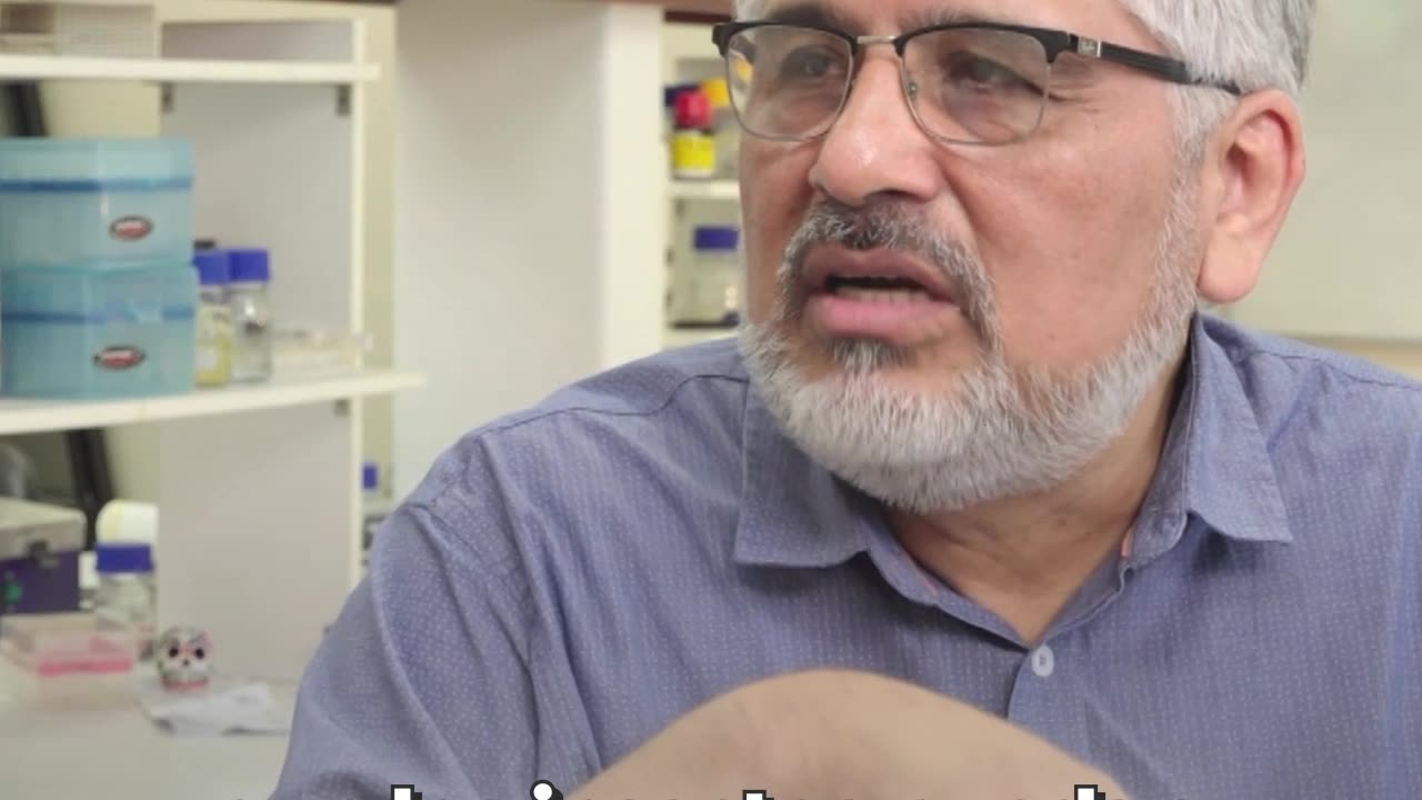 Transgénicos: el dato que nadie le contó