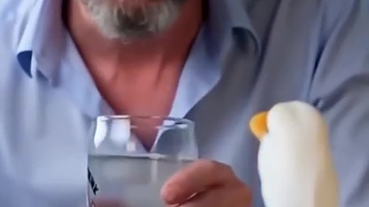 Bob Ross is no longer a fan of ducks