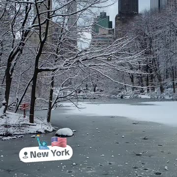 Snow New York City Winter Christmas Holidays