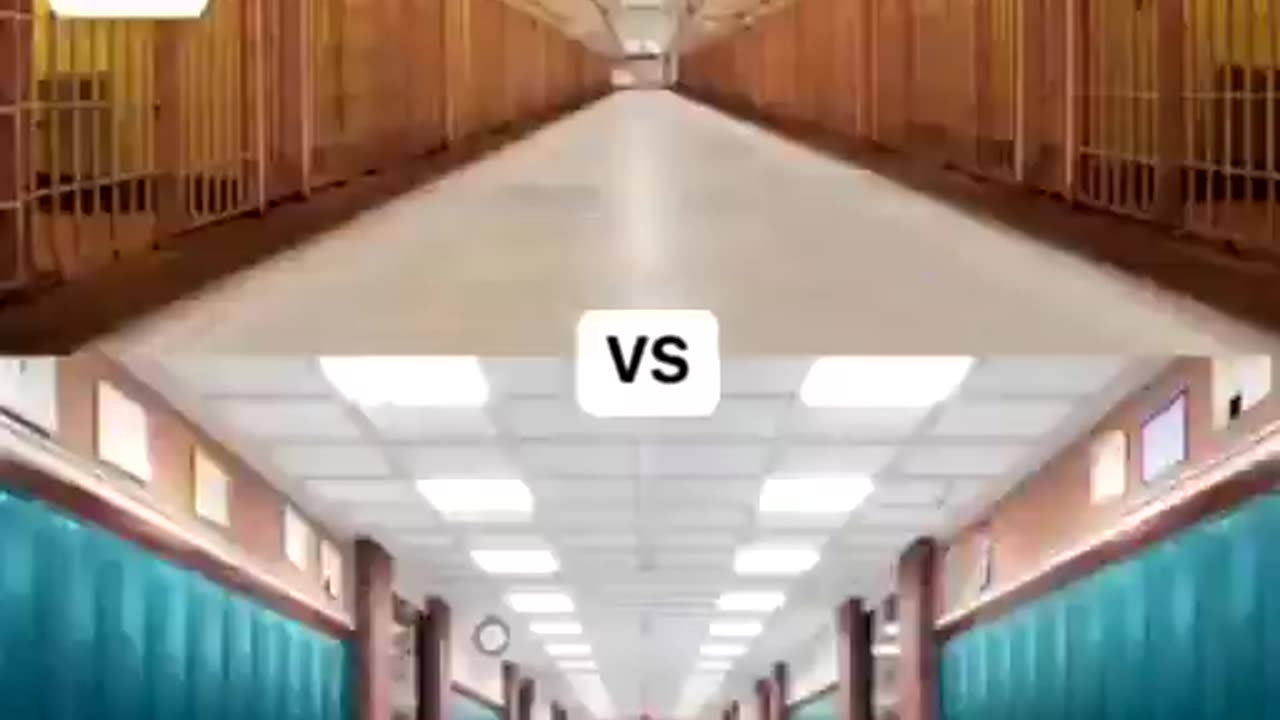 Why do they both seem so eerily similar?