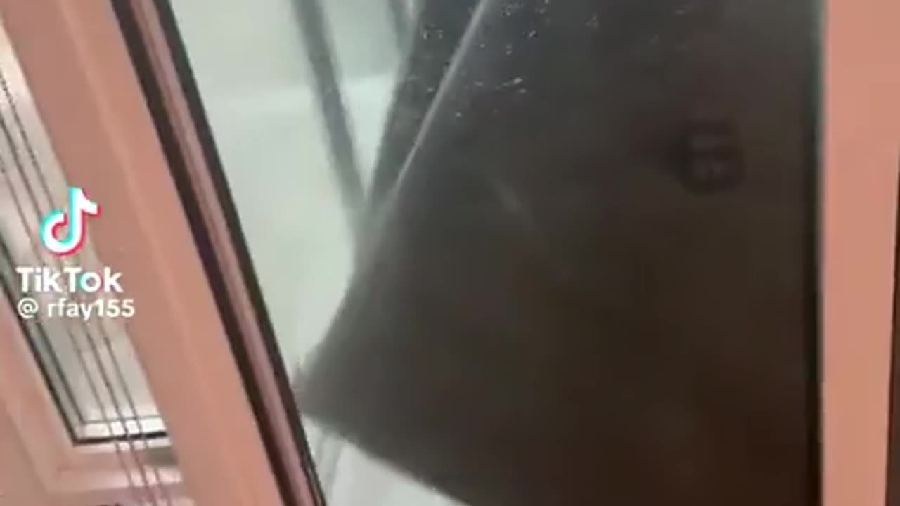 🤯🔥 The Most Epic Fight of 2025! You Have to See This | FunFM