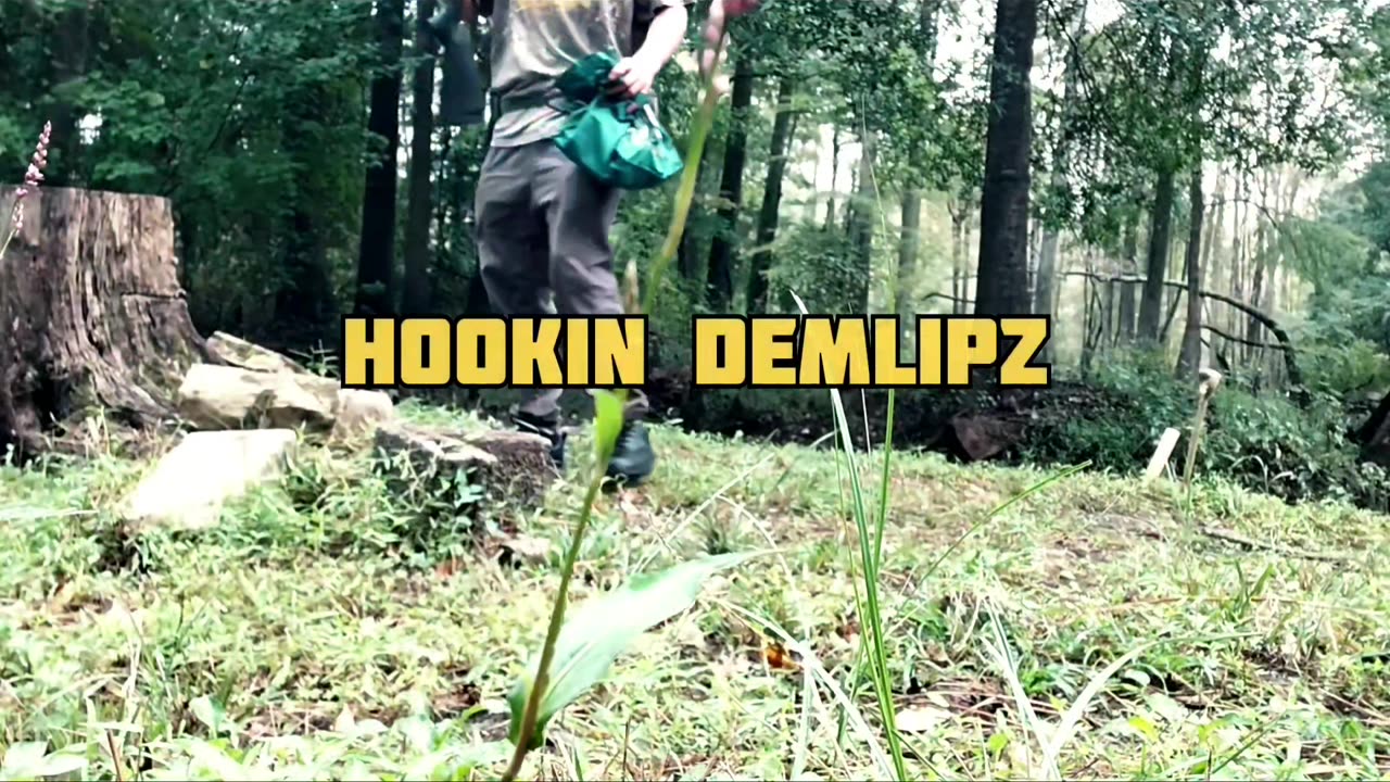 New Series Coming ! (SURVIVING THE DEEP BACKWOODS OF NORTH CAROLINA ONLY ON WHAT SPONSORS DONATE!)