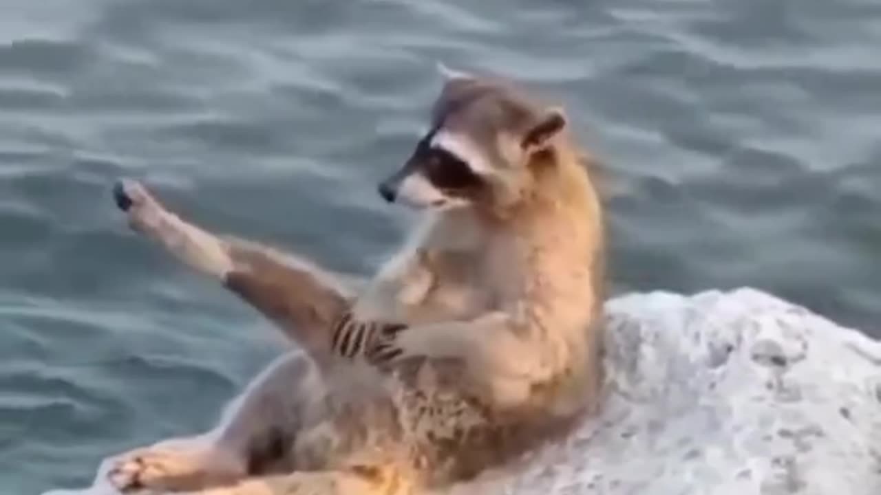 As it should be