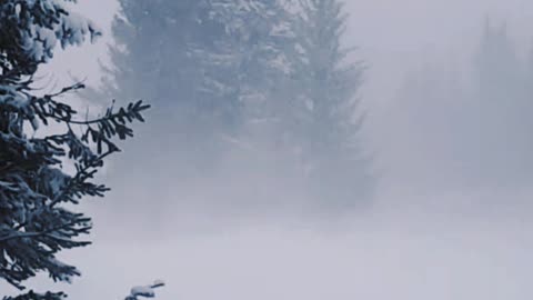Snow & Wind Sounds for Deep Sleep (ASMR) short video