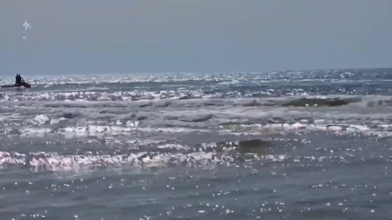 Searches continue for diver Police have closed the beach until further notice
