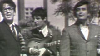 The Turtles - Happy Together = 1965-1970