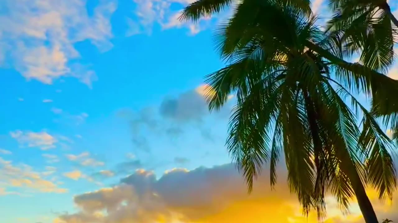Beauty of Nature