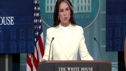 Tulsi Gabbard Accuses Former US Prez Obama Of _Treasonous Conspiracy_ Against Trump | US News