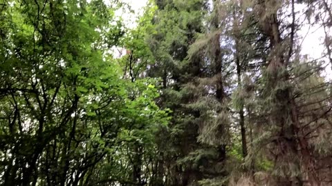 The return to Dechmont Law & the UFO landing site