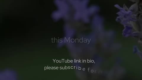 🙏📖 Monday's Prayer | Start Your Week with Faith & Guidance | InGodWeTrustDaily