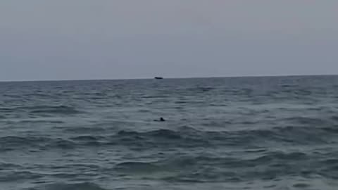 Drone Rescue.