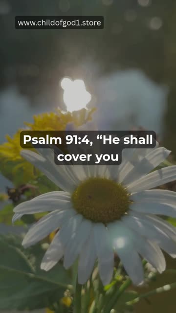 Perfect Prayer to Start Your Week!