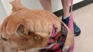 VID_20250921_144939353