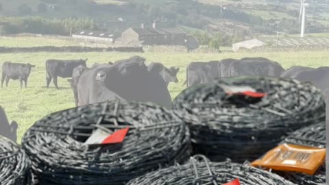 Delivering Barbed Wire