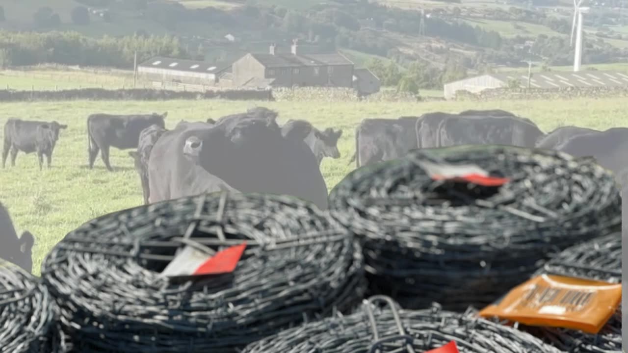 Delivering Barbed Wire
