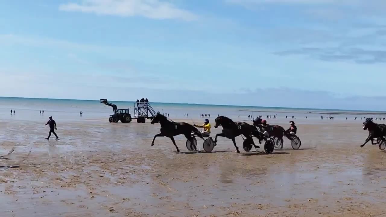 Splendid Horse Racing in France