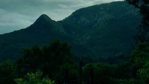 Natural SK Natural videos