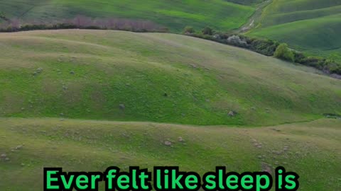 Deep Sleep Facts#InsomniaHelp 💤 #SleepDeep 😴 #PeacefulNights 🌜 #NoMoreTossing 🛏️ #RestEasy 🌠