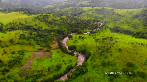 Fall Asleep in Scenic 4K DRONE View of a Rainforest with Relaxing Music