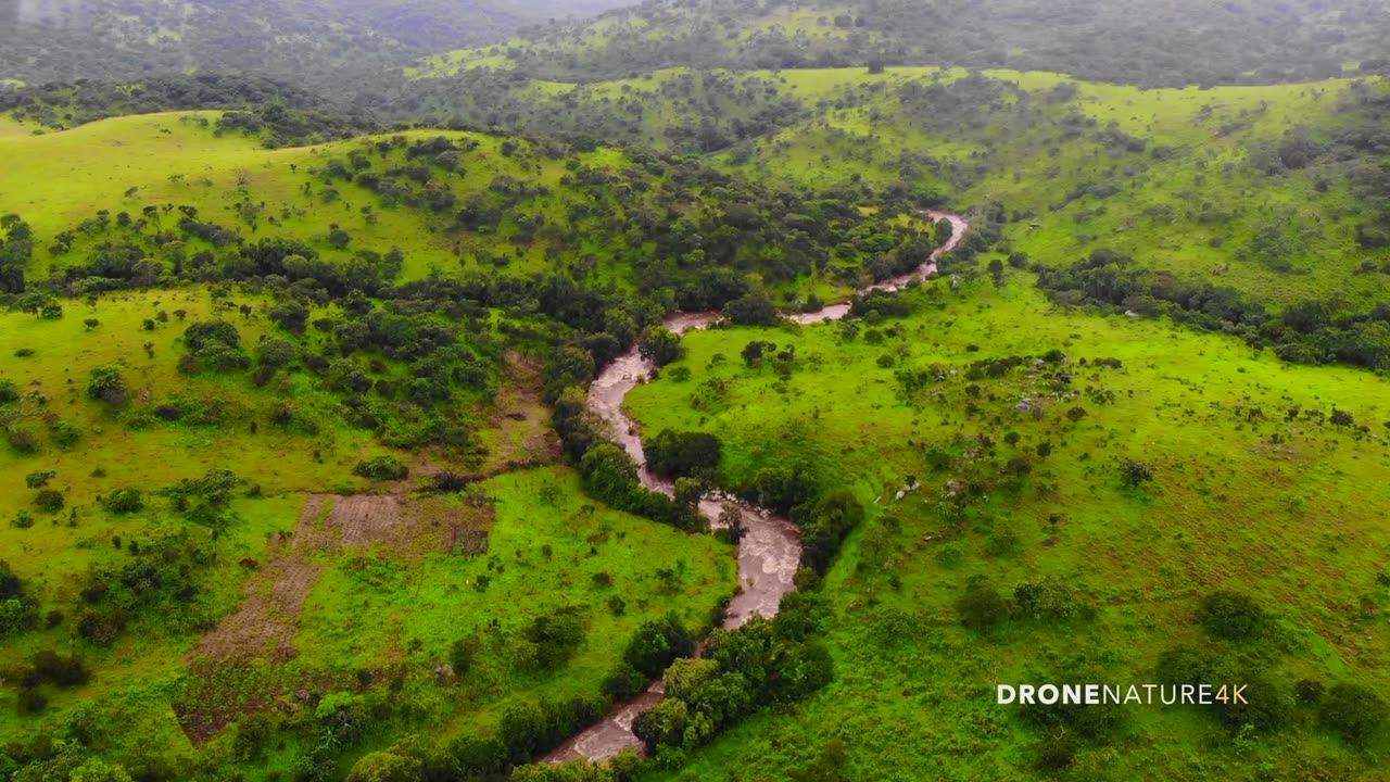 Fall Asleep in Scenic 4K DRONE View of a Rainforest with Relaxing Music
