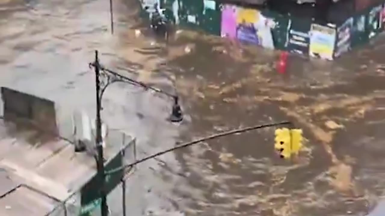 🚨🇺🇸 Meanwhile in Brooklyn, New York