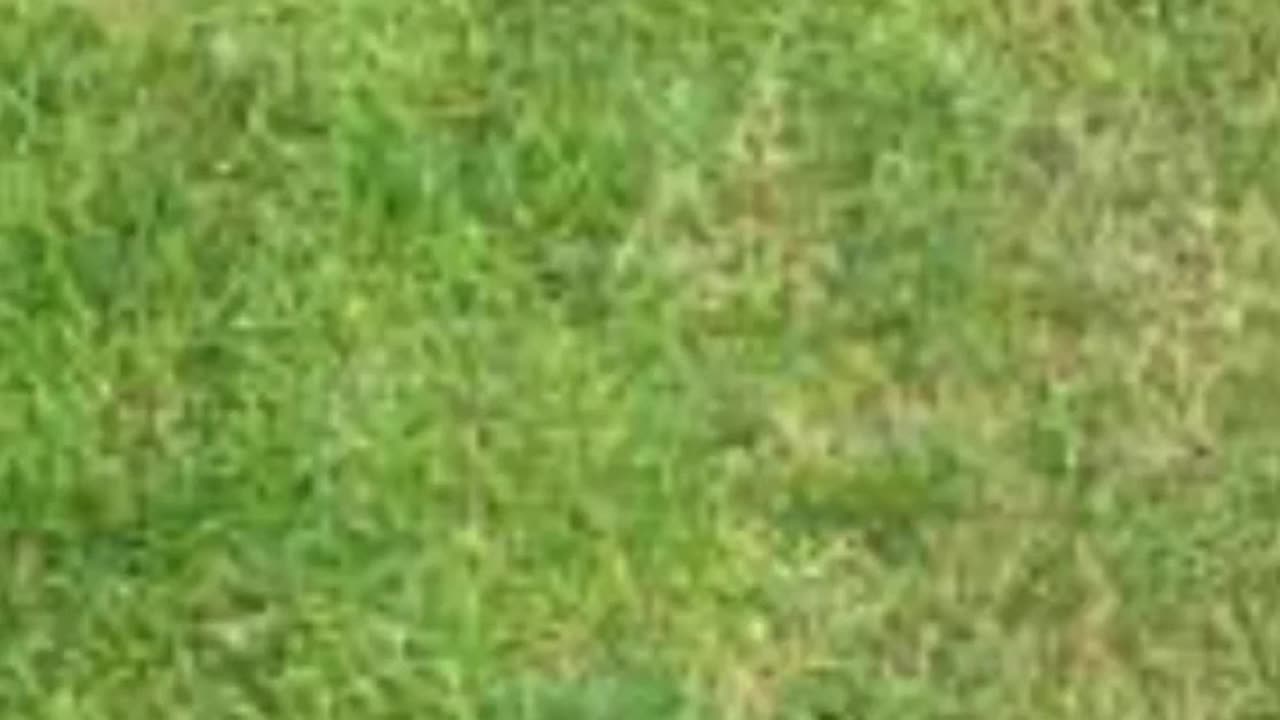 FAMOUS GRAVES - VOL. 370: VINCE MCMAHON SR.