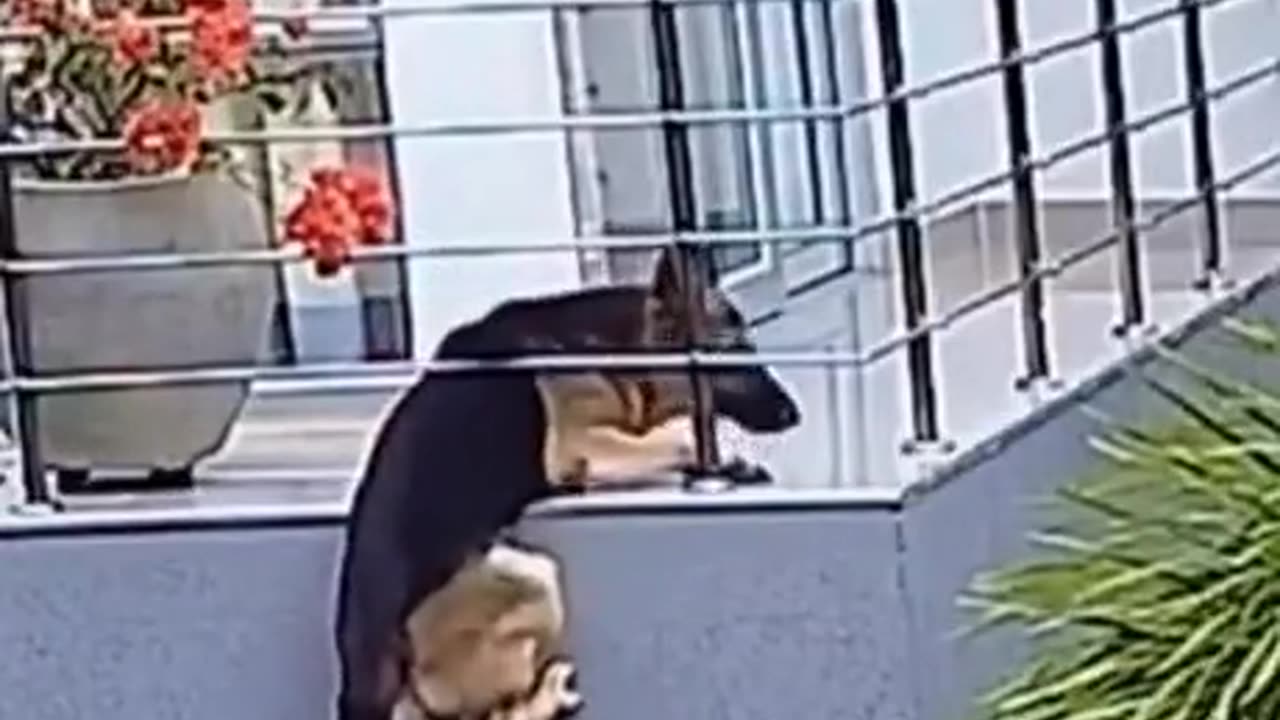 Locked out on the balcony
