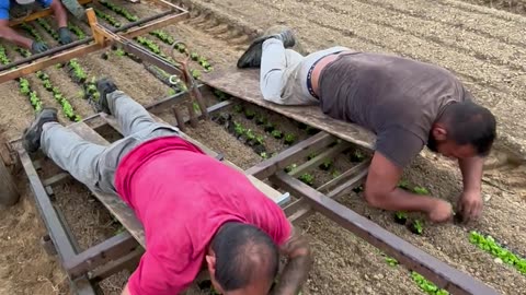 Lying Down on the Job