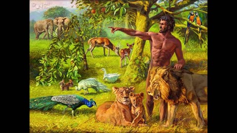 No helper was found for Adam