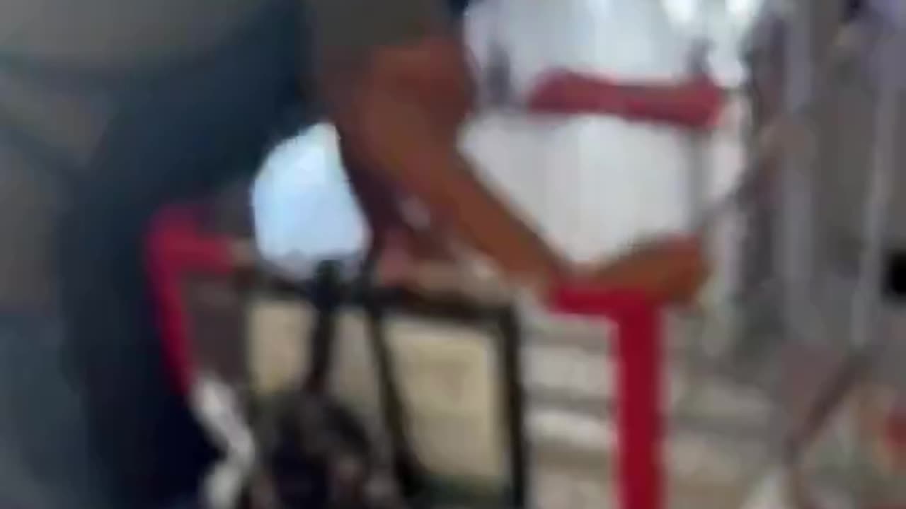 Diversity destroys store when caught stealing