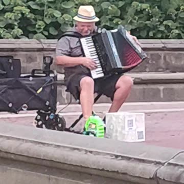 Música para las tortugas....