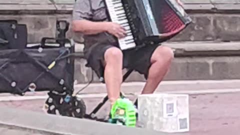 Música para las tortugas....