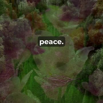 How To Find Peace And Joy Midweek