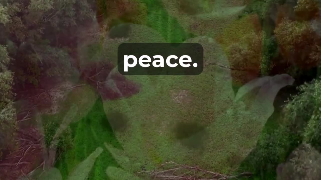 How To Find Peace And Joy Midweek