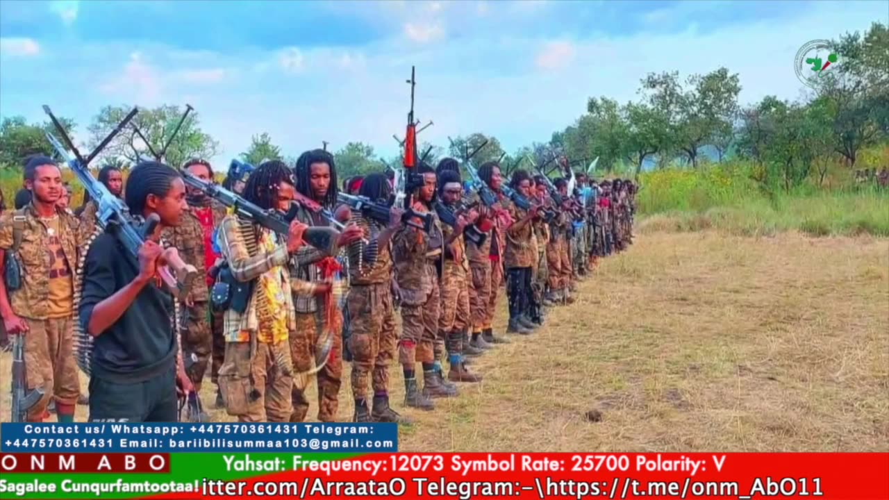 Gabaasa Tarkaanfii ONM-ABO Adoolessa 17-2025 itti dhiyaadhaa!