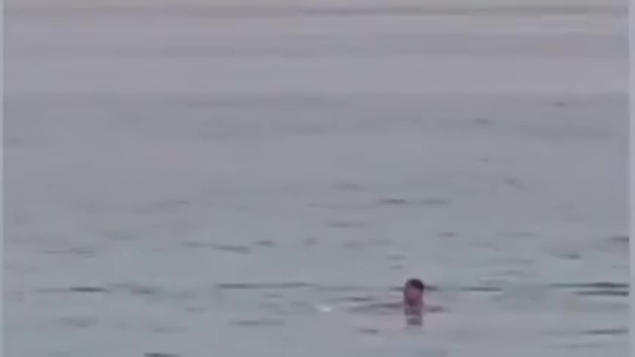A man was killed by a shark while swimming off the coast of Egypt's Red Sea