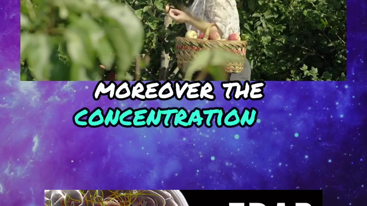 On average, a person ingests 250 grams of plastic per year, equivalent to 50 plastic bags.