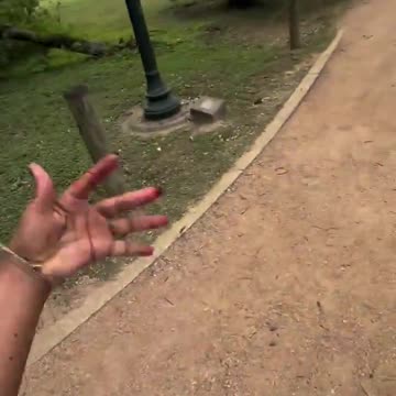 Squirrels Be RAYCISS N SHEEEIT!