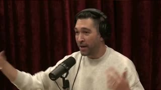 Brooklyn's Soot-Covered Solidarity - Dave Smith with Joe Rogan