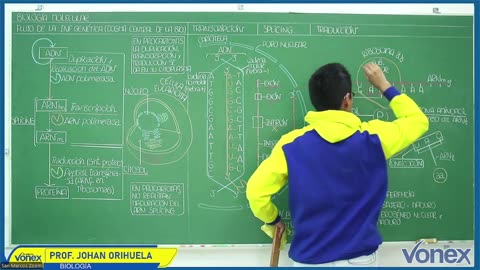 VONEX SEMIANUAL 2025 | Semana 07 | Biología S2