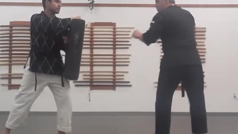 Tong Hap Kwan Hoshinsul/Hapkido Class Part 2