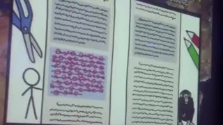 The Genetic Math Between Man And Monkey